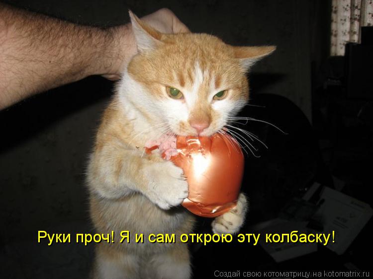 Руки проч! Я и сам открою эту колбаску!... Котоматрица: Руки проч! Я и сам открою эту колбаску!