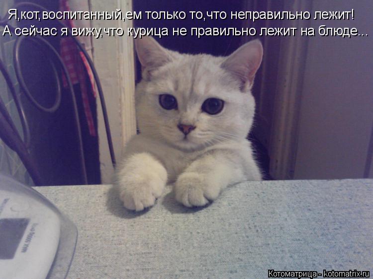 Я,кот,воспитанный,ем только то,что неправильно лежит! А сейчас я вижу,что курица не правильно лежит н... Котоматрица: Я,кот,воспитанный,ем только то,что неправильно лежит! А сейчас я вижу,что курица не правильно лежит на блюде...