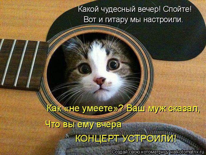 Котоматрица: Какой чудесный вечер! Спойте! Вот и гитару мы настроили. Как «не умеете»? Ваш муж сказал,  Что вы ему вчера  КОНЦЕРТ УСТРОИЛИ!