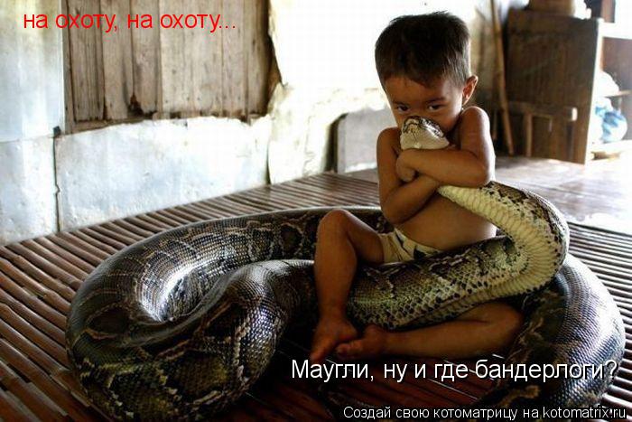 Котоматрица: Маугли, ну и где бандерлоги? на охоту, на охоту...