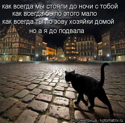Котоматрица: как всегда мы стояли до ночи с тобой как всегда было этого мало как всегда ты по зову хозяйки домой но а я до подвала
