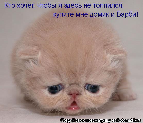 Кто хочет, чтобы я здесь не толпился, купите мне домик и Барби!... Котоматрица: Кто хочет, чтобы я здесь не толпился, купите мне домик и Барби!
