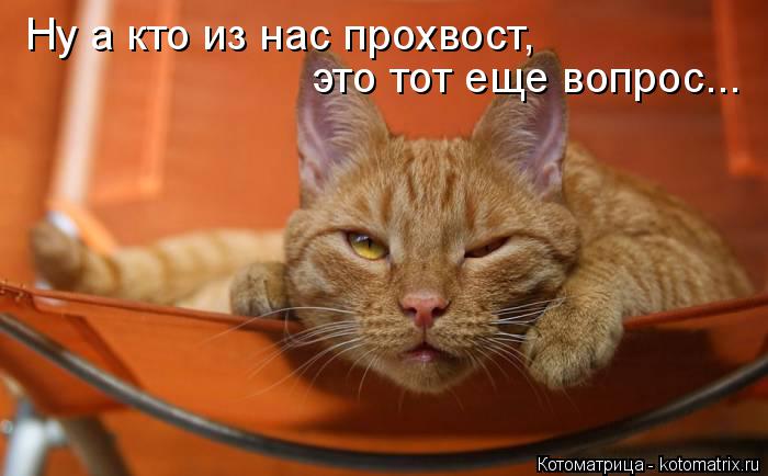 Ну а кто из нас прохвост, это тот еще вопрос...... Котоматрица: Ну а кто из нас прохвост, это тот еще вопрос...