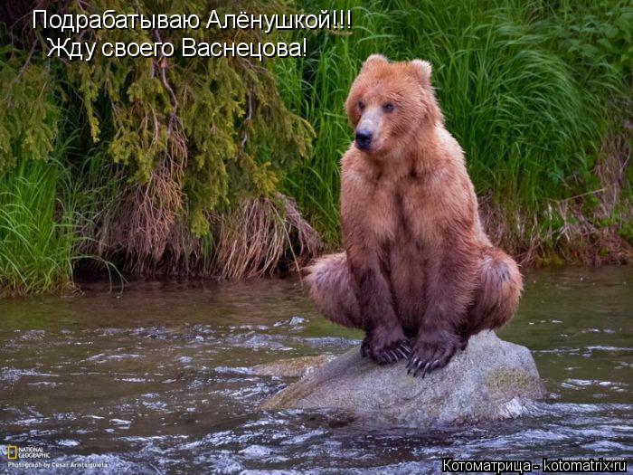 Котоматрица: Подрабатываю Алёнушкой!!! Жду своего Васнецова!