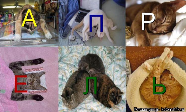 А П Р Е Л Ь... Котоматрица: А П Р Е Л Ь