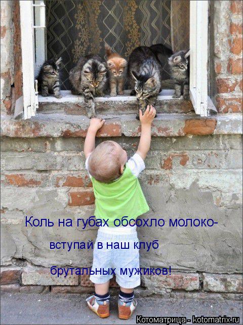 Котоматрица: Коль на губах обсохло молоко- вступай в наш клуб  брутальных мужиков!
