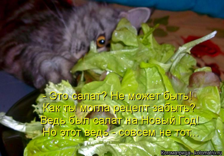 Салат «Котёнок» : Салаты