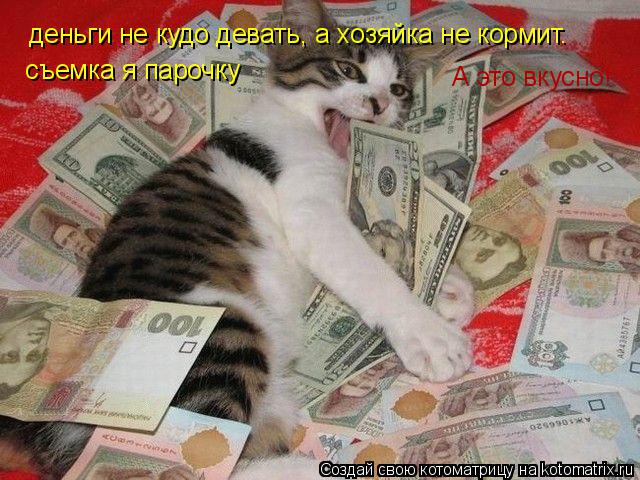 Котоматрица: деньги не кудо девать, а хозяйка не кормит. съемка я парочку А это вкусно!
