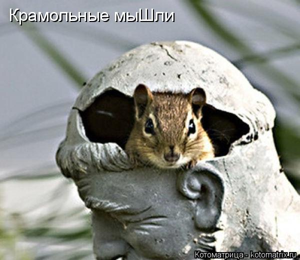 Котоматрица: Крамольные мыШли