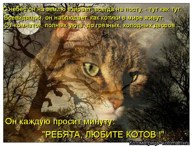 Котоматрица: С небес он на землю взирает; всегда на посту, - тут как тут. Всевидящий, он наблюдает, как котики в мире живут: От комнаток, полных уюта, до гряз