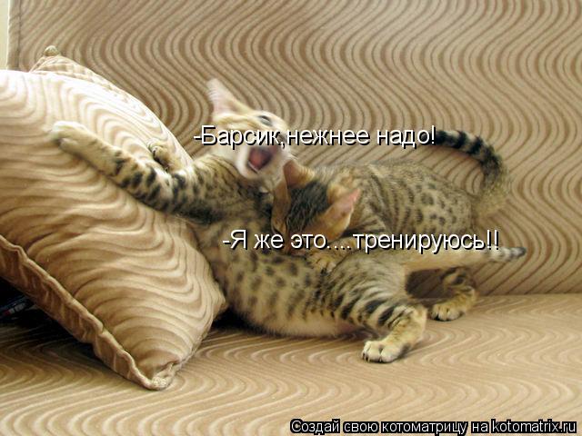 Котоматрица: -Барсик,нежнее надо! -Я же это....тренируюсь!!