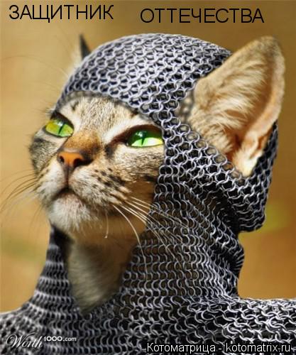 Котоматрица: ЗАЩИТНИК ОТТЕЧЕСТВА