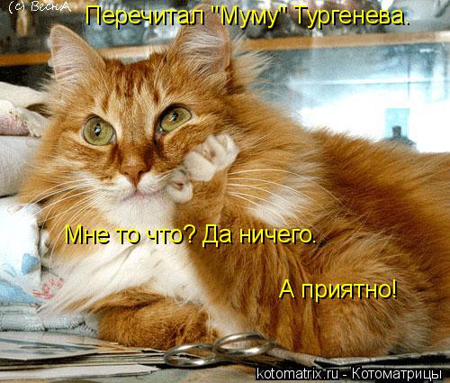 Котоматрица: Перечитал "Муму" Тургенева.  Мне то что? Да ничего. А приятно!