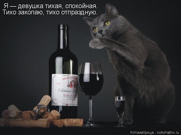 Котоматрица: Я — девушка тихая, спокойная. Тихо закопаю, тихо отпраздную.