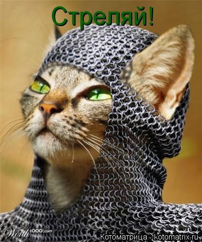 Стреляй!... Котоматрица: Стреляй!