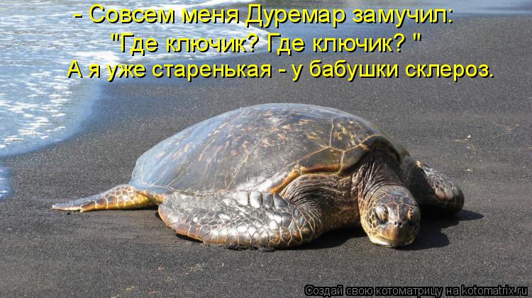 - Совсем меня Дуремар замучил: "Где ключик? Где ключик? " А я уже старенькая - у бабушки склероз.... Котоматрица: - Совсем меня Дуремар замучил: "Где ключик? Где ключик? " А я уже старенькая - у бабушки склероз.
