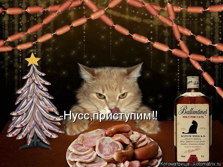 Котоматрица: -Нусс,приступим!!