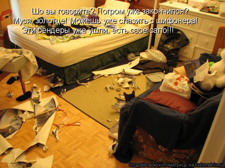 Котоматрица: Шо вы говорите? Погром уже закончился? Муся, золотце! Можешь уже слазить с шифонера! Эти бендеры уже ушли, есть свое сало!!!