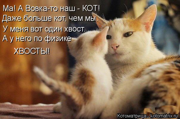 Котоматрица: Ма! А Вовка-то наш - КОТ! У меня вот один хвост. А у него по физике ХВОСТЫ! Даже больше кот, чем мы.