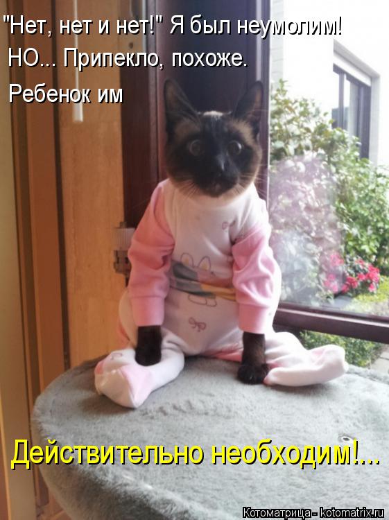 Котоматрица: "Нет, нет и нет!" Я был неумолим! НО... Припекло, похоже. Ребенок им Действительно необходим!...