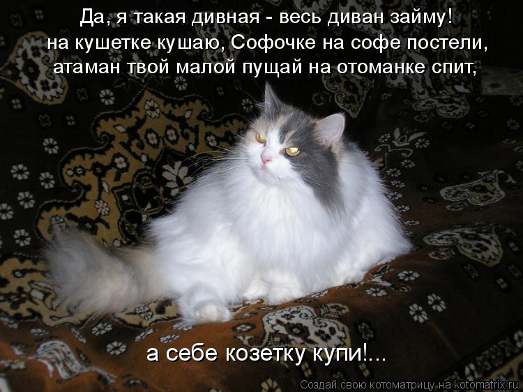 Котоматрица: Да, я такая дивная - весь диван займу! а себе козетку купи!... атаман твой малой пущай на отоманке спит, на кушетке кушаю, Софочке на софе посте