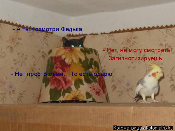 Котоматрица: - А ты посмотри Федька - Нет, не могу смотреть!  Загипнотизируешь! - Нет просто съем... То есть одарю