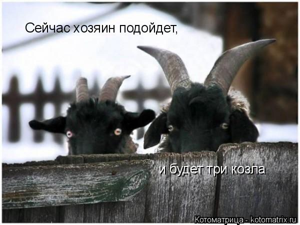 Котоматрица: Сейчас хозяин подойдет, и будет три козла