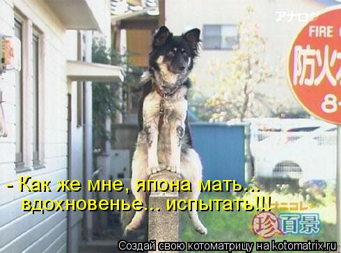 - Как же мне, япона мать... вдохновенье... испытать!!!... Котоматрица: - Как же мне, япона мать... вдохновенье... испытать!!!