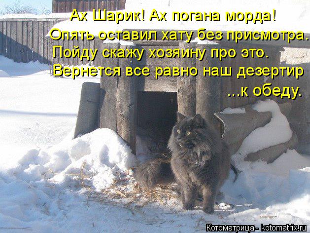 Ах Шарик! Ах погана морда! Опять оставил хату без присмотра. Пойду скажу хозяину про это. Вернется вс... Котоматрица: Ах Шарик! Ах погана морда! Опять оставил хату без присмотра. Пойду скажу хозяину про это. Вернется все равно наш дезертир ...к обеду.