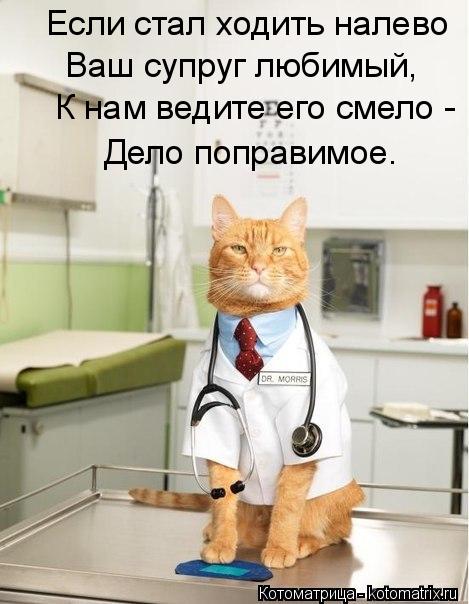 Котоматрица: Если стал ходить налево Ваш супруг любимый, К нам ведите его смело - Дело поправимое.