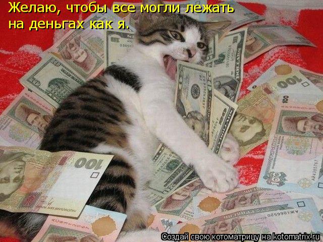 Котоматрица: Желаю, чтобы все могли лежать на деньгах как я.