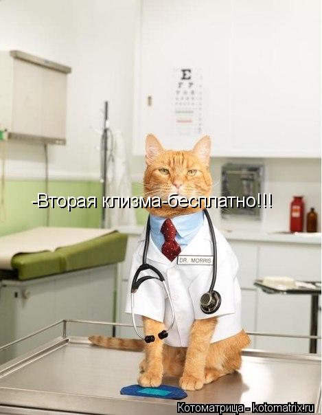 Котоматрица: -Вторая клизма-бесплатно!!!