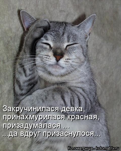 Котоматрица: Закручинилася девка, принахмурилася красная, призадумалася ... ...да вдруг призаснулося...