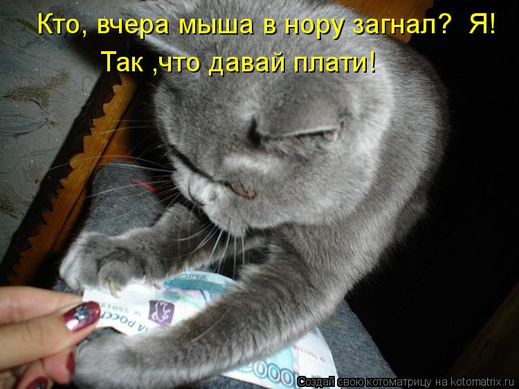 Котоматрица: Кто, вчера мыша в нору загнал?  Я! Так ,что давай плати!