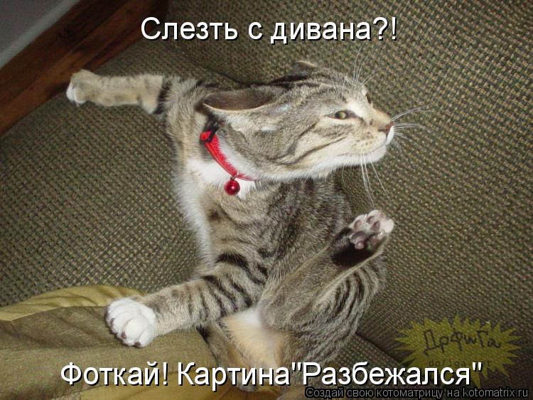 Котоматрица: Слезть с дивана?! Фоткай! Картина"Разбежался"