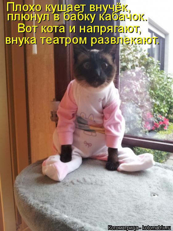 Котоматрица: плюнул в бабку кабачок. Вот кота и напрягают, внука театром развлекают.  Плохо кушает внучёк,