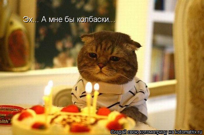 Котоматрица: Эх... А мне бы колбаски...