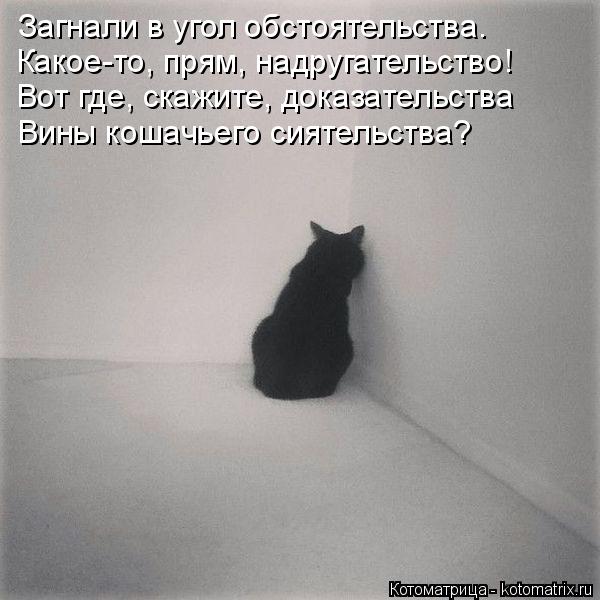 Котоматрица: Загнали в угол обстоятельства. Какое-то, прям, надругательство! Вот где, скажите, доказательства Вины кошачьего сиятельства?