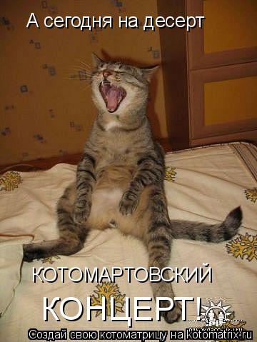 Котоматрица: А сегодня на десерт КОТОМАРТОВСКИЙ КОНЦЕРТ!