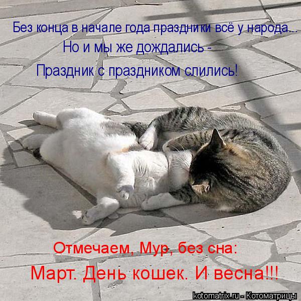 Котоматрица: Март. День кошек. И весна!!! Отмечаем, Мур, без сна: Но и мы же дождались - Праздник с праздником слились! Без конца в начале года праздники всё 