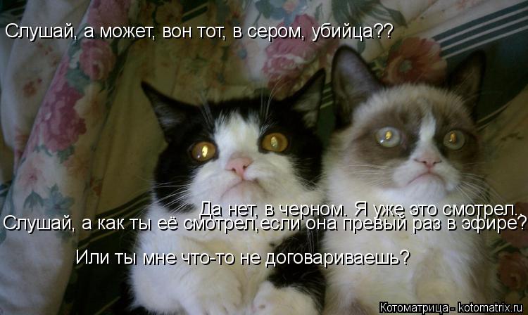 Котоматрица: Слушай, а может, вон тот, в сером, убийца?? Да нет, в черном. Я уже это смотрел.. Слушай, а как ты её смотрел,если она превый раз в эфире? Или ты мн