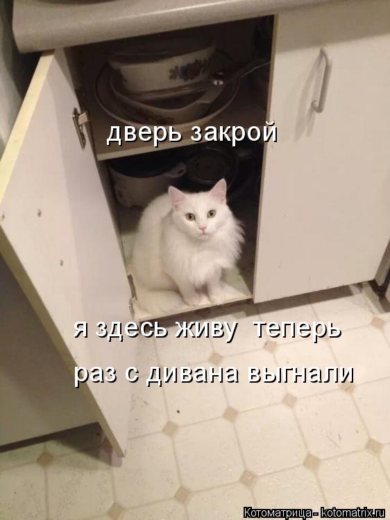 Котоматрица: дверь закрой  я здесь живу  теперь раз с дивана выгнали