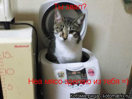 Котоматрица: Неа мясо зделаю из тебя =) Ты звал?