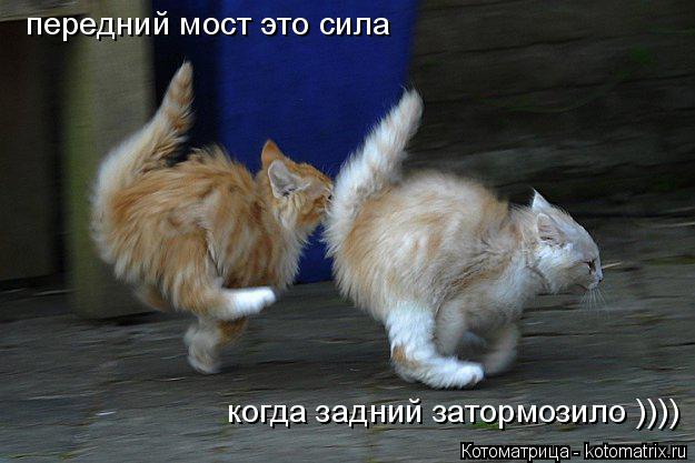 передний мост это сила когда задний затормозило ))))... Котоматрица: передний мост это сила когда задний затормозило ))))