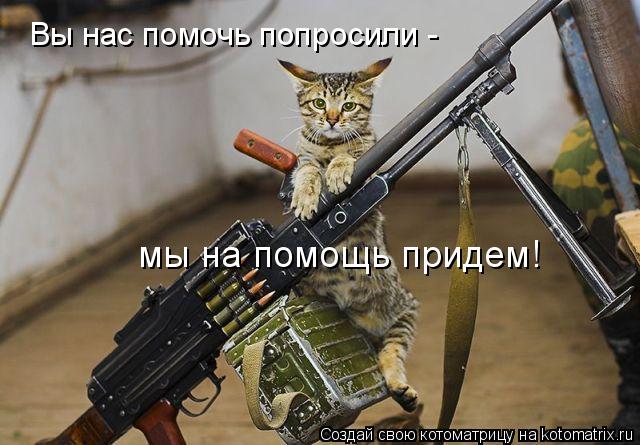 Котоматрица: Вы нас помочь попросили -  мы на помощь придем!