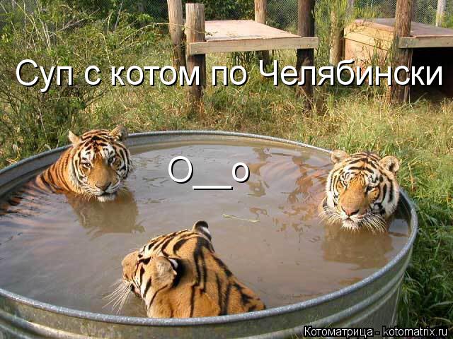 Суп с котом по Челябински О__о... Котоматрица: Суп с котом по Челябински О__о