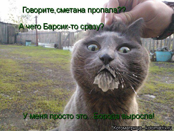 Котоматрица: Говорите,сметана пропала?? А чего Барсик-то сразу? У меня просто это...Борода выросла!