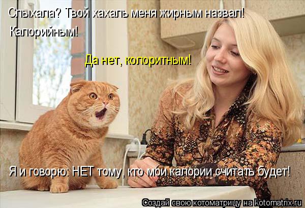 Котоматрица: Слыхала? Твой хахаль меня жирным назвал! Калорийным! Да нет, колоритным! Я и говорю: НЕТ тому, кто мои калории считать будет!