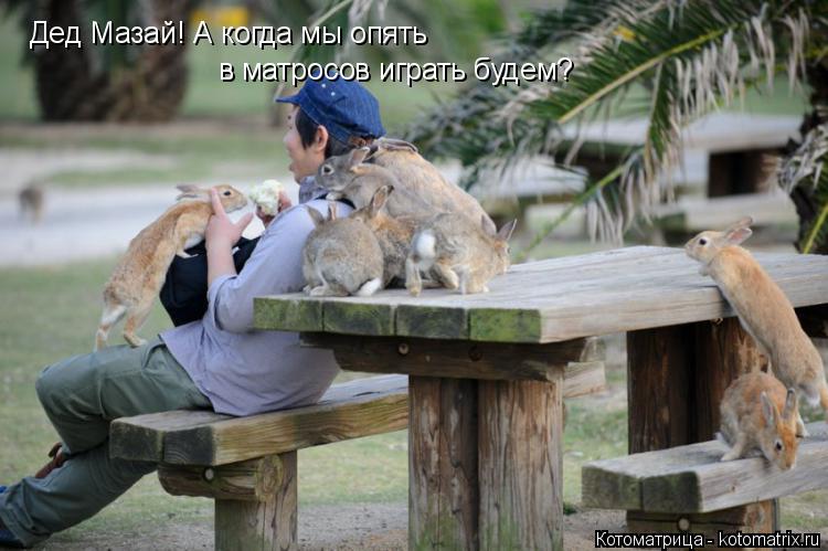 Дед Мазай! А когда мы опять в матросов играть будем?... Котоматрица: Дед Мазай! А когда мы опять в матросов играть будем?