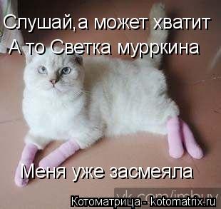 Котоматрица: Слушай,а может хватит  Слушай,а может хватит  А то Светка мурркина Меня уже засмеяла